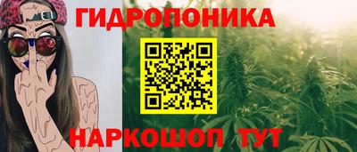 ПСИЛОЦИБИНОВЫЕ ГРИБЫ Кулебаки