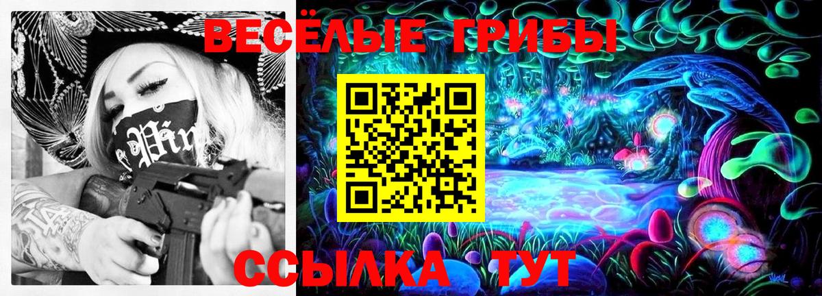 Псилоцибиновые грибы Cubensis Каспийск